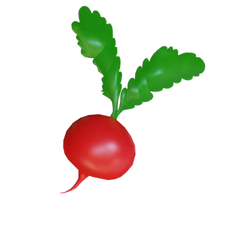 Rote Rübe  3D Icon