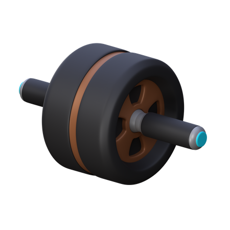 Roue abdominale  3D Icon