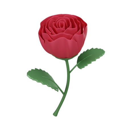 Rose rouge  3D Icon