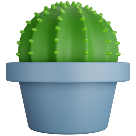 Round Cactus Plant  3D Icon