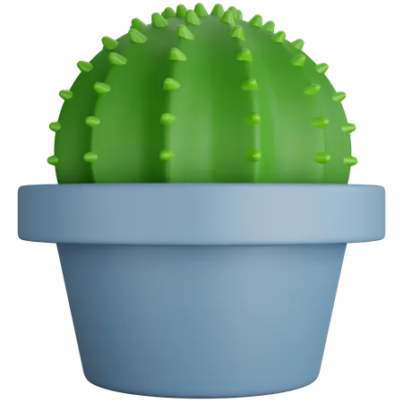 Round Cactus Plant  3D Icon