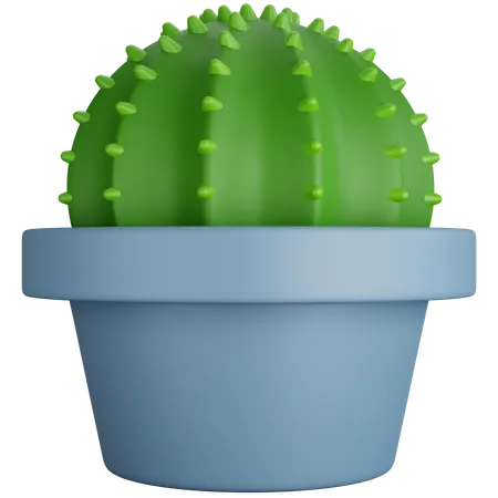 3 D Rendering Round Cactus Plant Isolated 3D Icon