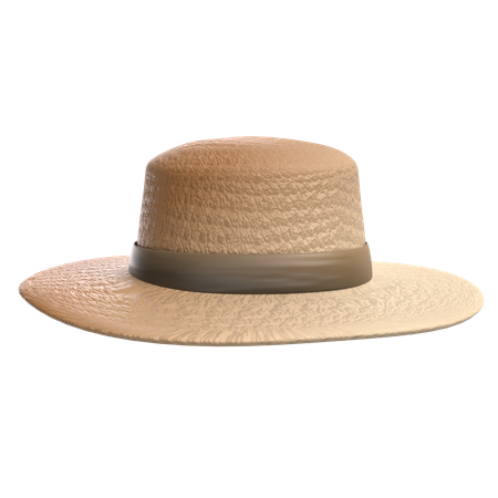 Round Hat  3D Icon