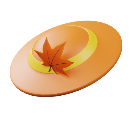 Round Hat  3D Icon