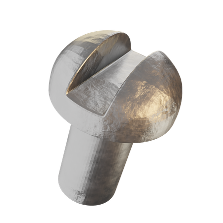 Round Slot Screw  3D Icon