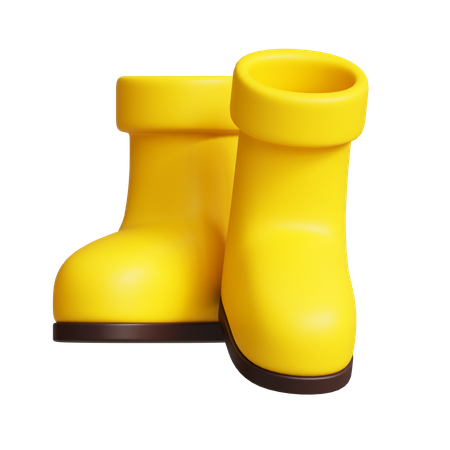 Rubber shoes  3D Icon