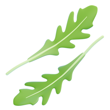 Rucola-Blatt  3D Icon