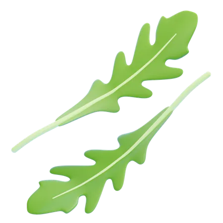 Rucola-Blatt  3D Icon