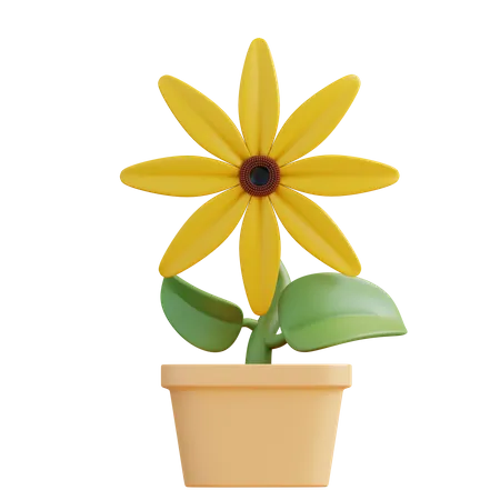 Rudbeckia Flower  3D Icon