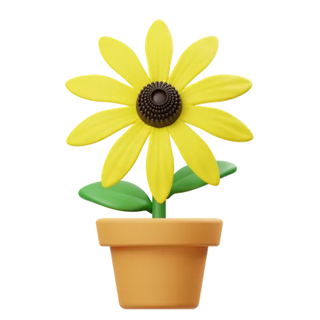 Rudbeckia Flower Pot  3D Icon