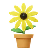 Rudbeckia Flower Pot