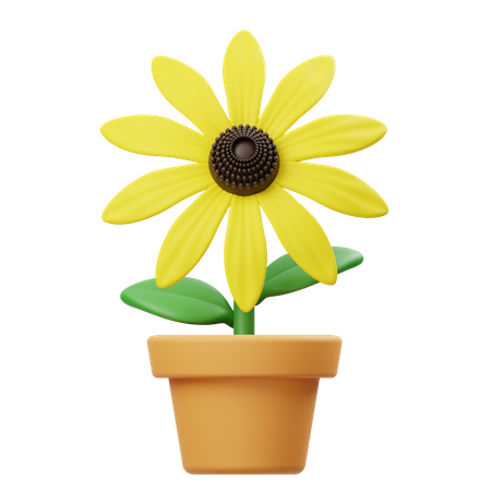 Rudbeckia Flower Pot  3D Icon