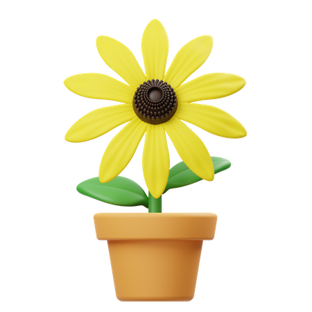 Maceta Rudbeckia  3D Icon