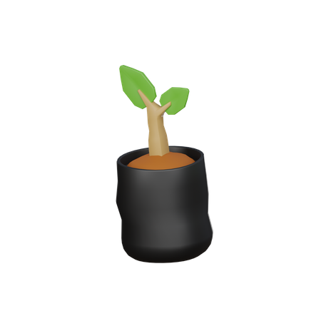 Sac de plantes  3D Icon