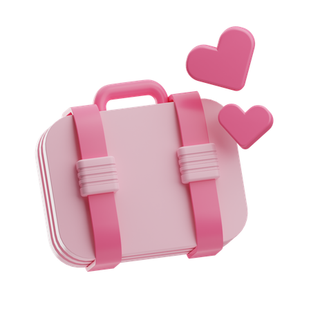 Sac de voyage  3D Icon