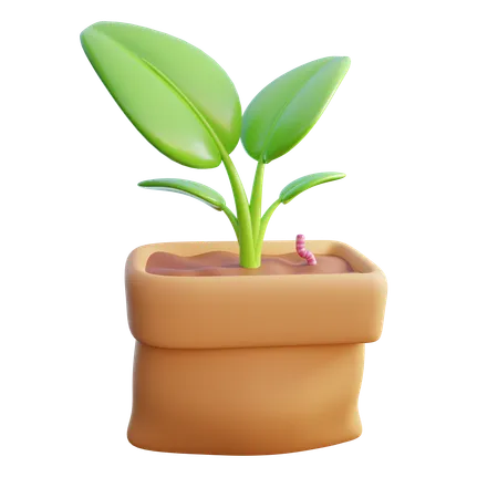 Sac de plantes  3D Icon