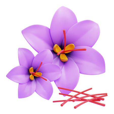 Saffron  3D Icon