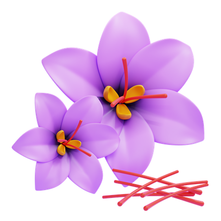 Saffron  3D Icon