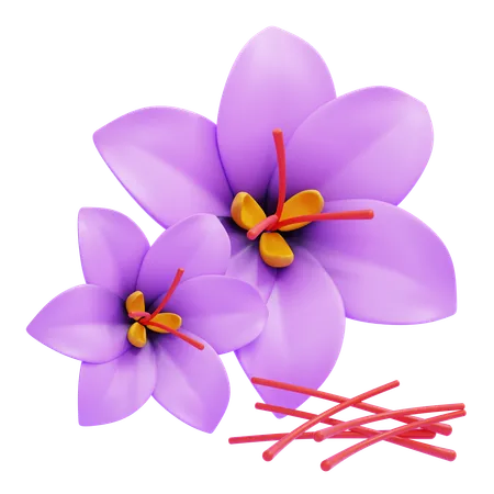 Saffron  3D Icon