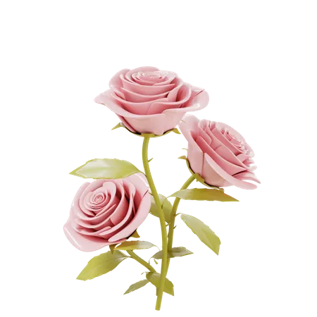 Saint Valentin rose  3D Illustration