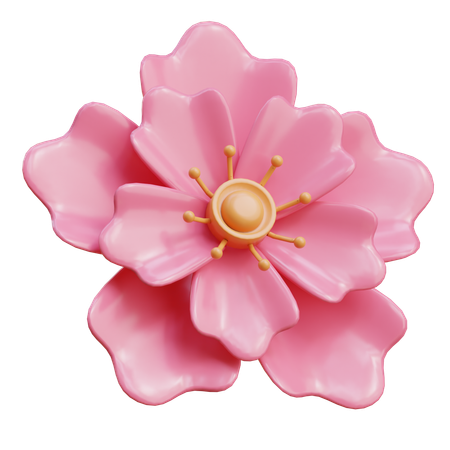 사쿠라  3D Icon
