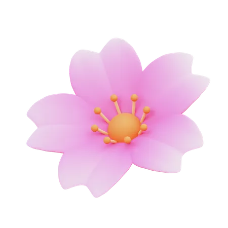 Sakura  3D Icon