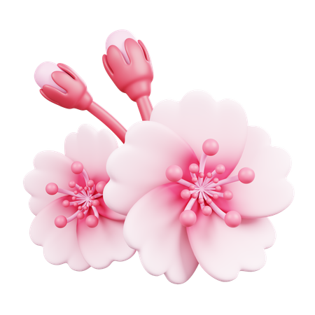 Sakura  3D Icon