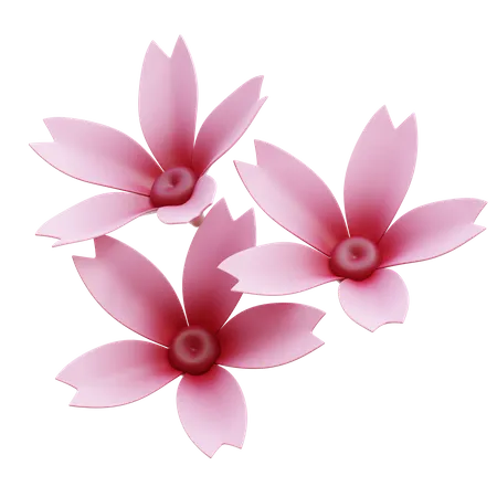 Sakura-Blume  3D Icon