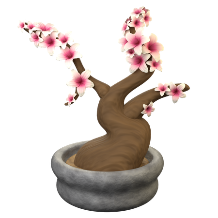 Árbol bonsái sakura  3D Icon