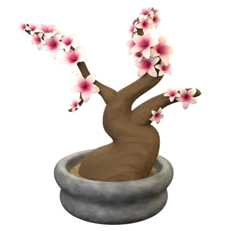 Árbol bonsái sakura  3D Icon