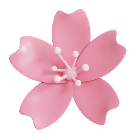 Pink Sakura Flower 3D Icon
