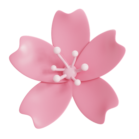 Sakura flower  3D Icon