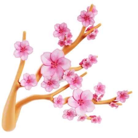 Sakura Flower Arrangement  3D Icon