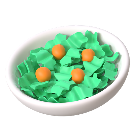 Salad  3D Icon
