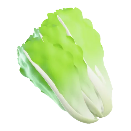 Kopfsalat  3D Icon