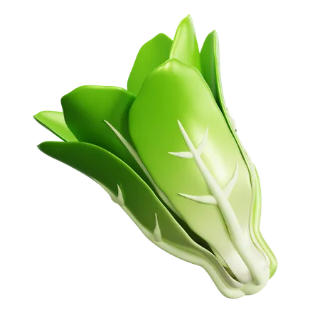 Kopfsalat  3D Icon