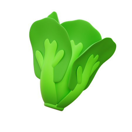 Kopfsalat  3D Icon