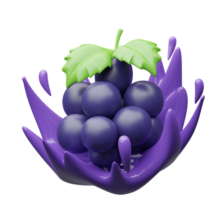 Salpicaduras de uvas  3D Icon