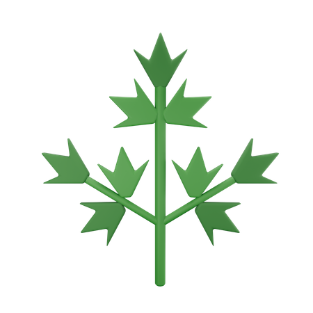 Salsinha 3D Icon