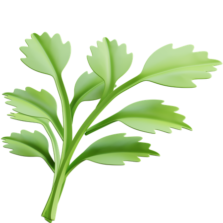 Salsinha  3D Icon