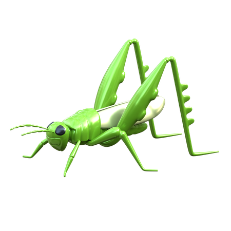 Saltamontes  3D Icon