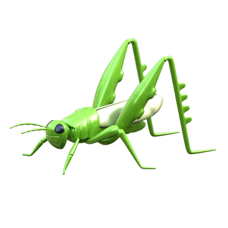 Saltamontes  3D Icon