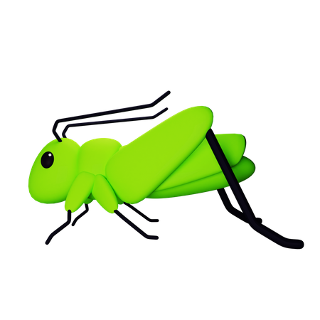 Saltamontes  3D Icon