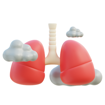 Salud respiratoria  3D Icon