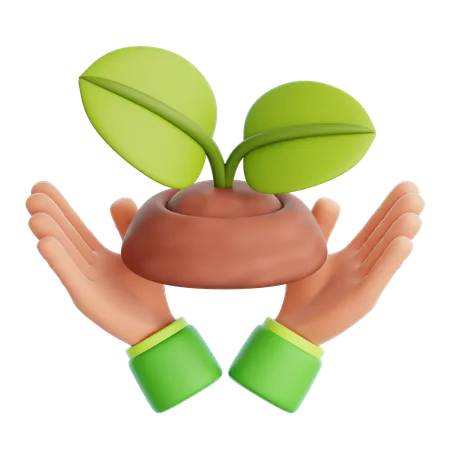 Salva la planta  3D Icon