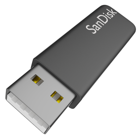 Sandisk  3D Icon