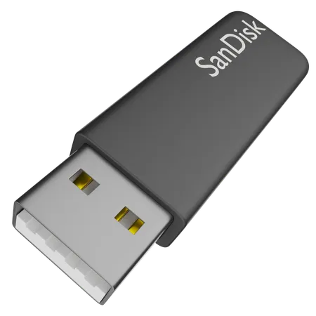 Sandisk  3D Icon