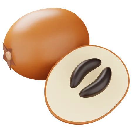 Sapodilla  3D Icon