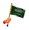 Saudi Arabia Flag