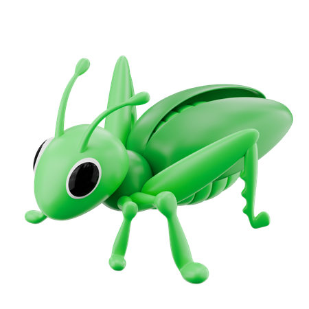 Sauterelle  3D Icon